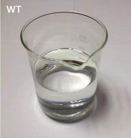 WT